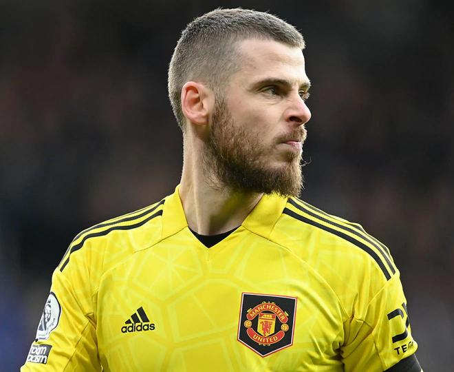 九游免费账号共享葡超倒计时，多伦多猛龙赛后临场应变，细节引发关注，管理层满意，心理建设被强调的简单介绍